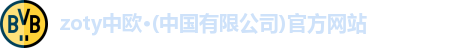 zoty中欧